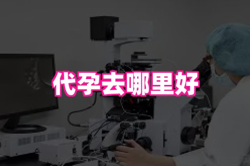 国际助孕网站 1