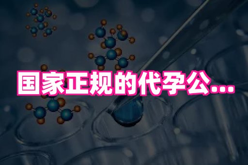 国际助孕网站 2