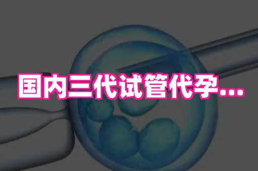 国际助孕网站 4